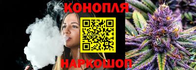 мдпв Бийск