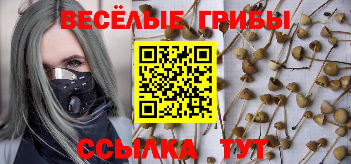 Галлюциногенные грибы Psilocybine cubensis Зеленокумск